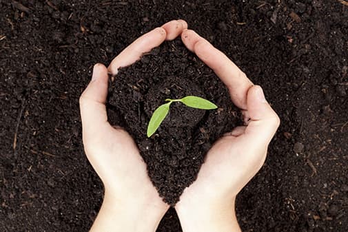 Why Organic Matter is the Foundation of Soil Health